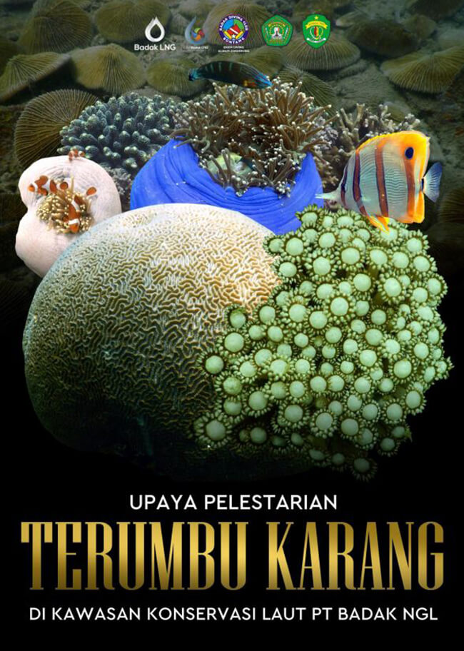 ebook upaya pelestarian terumbu karang